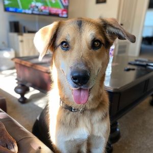 Meet your Posher, Caroline